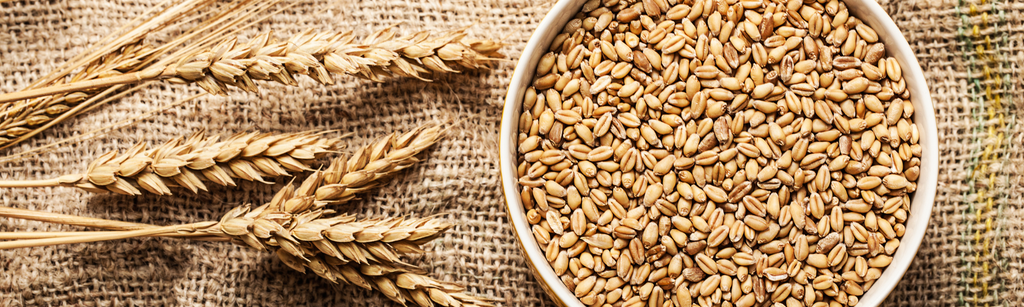 Wheat allergy - What is it and what can I do about it?