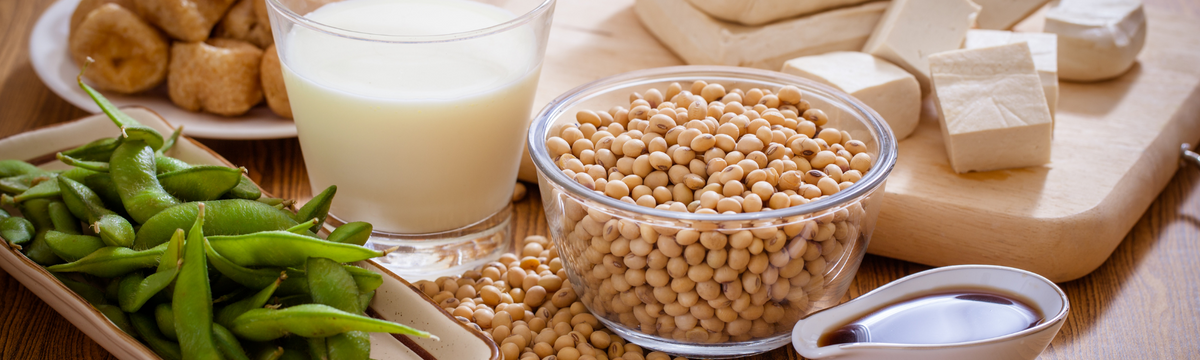 Soy allergy: symptoms, triggers, soy lecithin